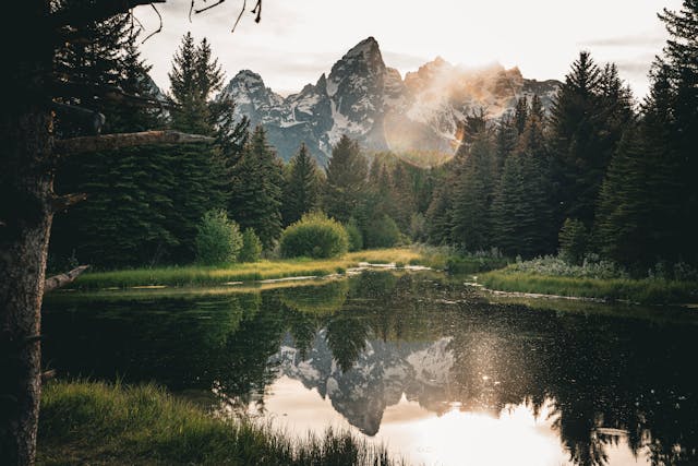 Yellowstone to Grand Teton Family Loop scenic family road trip route with kids - best family travel destinations America 2025